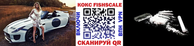Кокаин Fish Scale  Купить закладки  Звенигово 