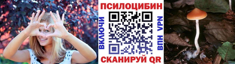 Купить где  Звенигово  Галлюциногенные грибы Psilocybe 
