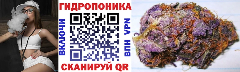 Купить закладки  Звенигово  Шишки марихуана тримм 